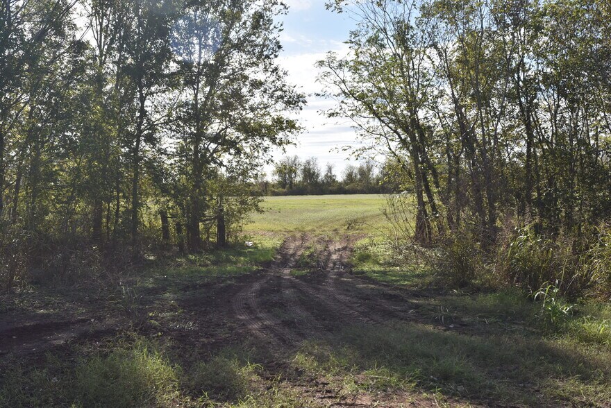 More Photos Of 201 County Road 224, Wharton Land For Sale
