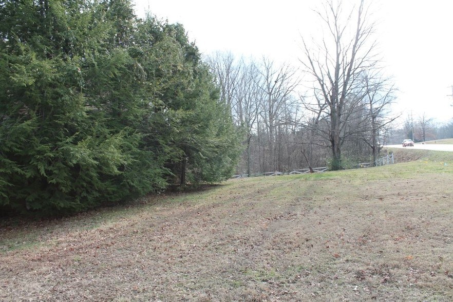 More Photos Of 2305 Fairview Blvd, Fairview Land For Lease