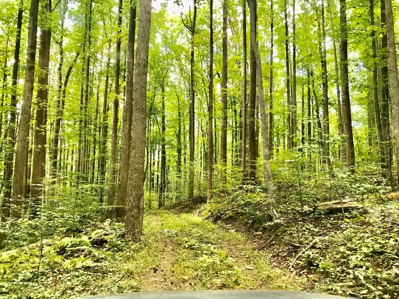 More Photos Of Little Washington Rappahannock County, Washington Land For Sale