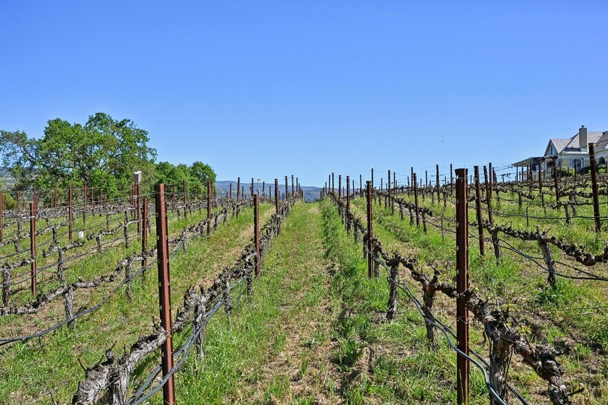More Photos Of 1096 Hardman Ave, Napa Winery Vineyard For Sale