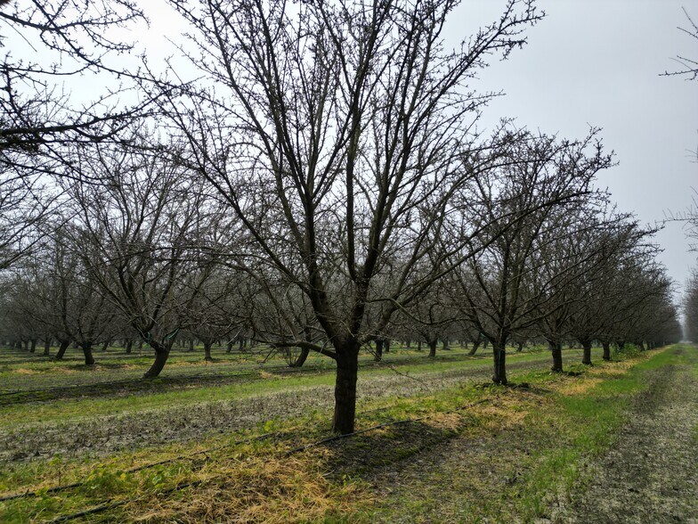 More Photos Of 8350 17 1/2 Avenue, Lemoore Land For Sale