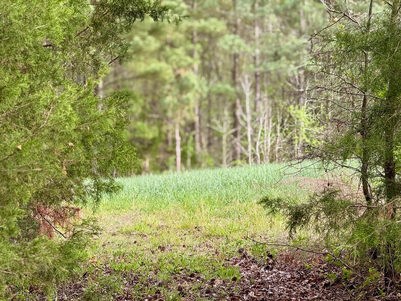 Primary Photo Of 12301 NC-86, Prospect Hill Land For Sale