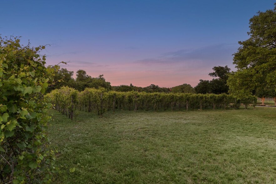 More Photos Of 18059A Ranch to Market Road 1826, Driftwood Winery Vineyard For Sale