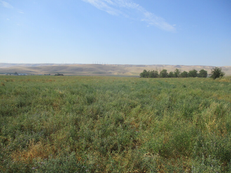 Primary Photo Of Thurber, Touchet Land For Sale