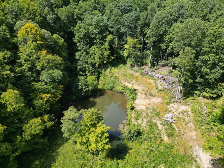 More Photos Of 405 Checks Rd, Summersville Land For Sale