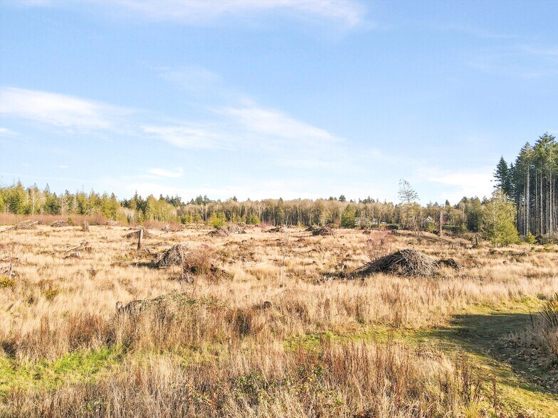 More Photos Of XXX Gravelly Beach Loop, Olympia Land For Sale
