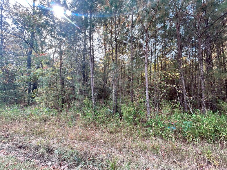 More Photos Of 2224 Governors rd, Windsor Land For Sale