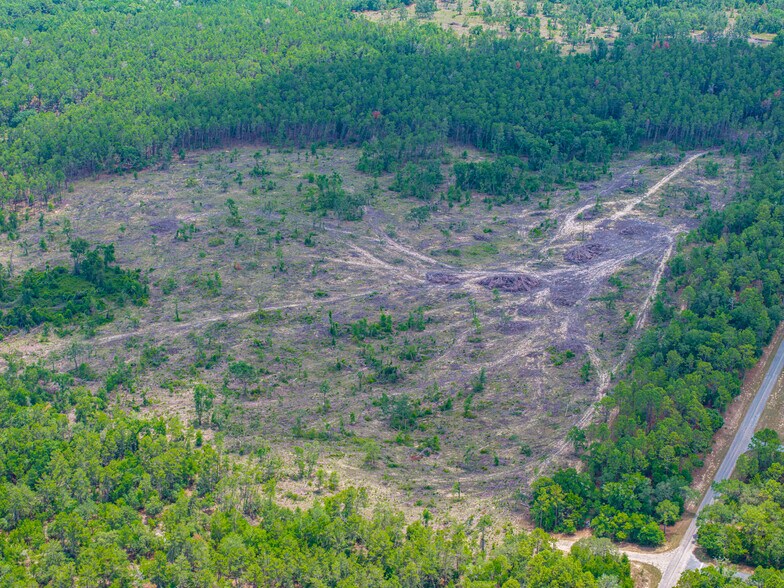 More Photos Of 1650 Withlacoochee Trl, Dunnellon Land For Sale