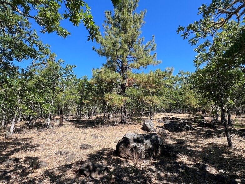 More Photos Of 407 Blue Spruce, Goldendale Land For Sale