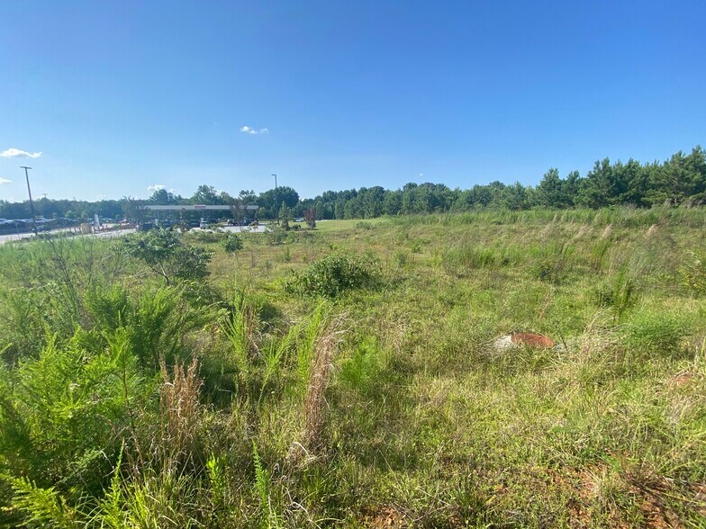 More Photos Of Charles Hardy Pkwy, Dallas Land For Sale