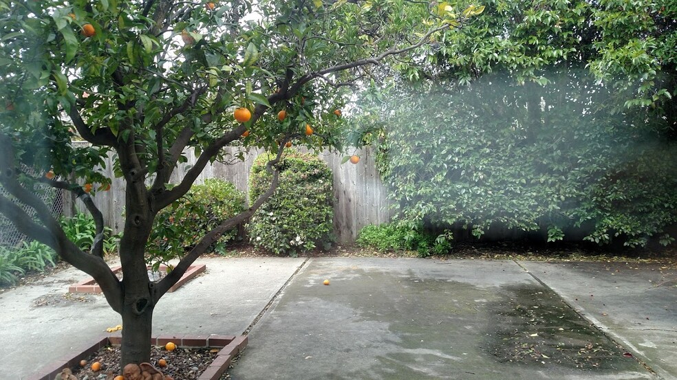 More Photos Of 711 9th Ave, San Mateo Apartments For Sale