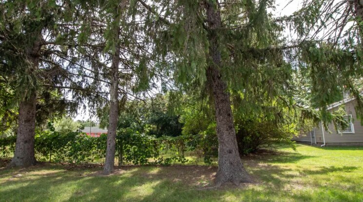 More Photos Of 3473 Vienna Rd, Clio Land For Sale