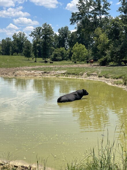 More Photos Of Raspberry Street & 69 hwy, Gallion Land For Sale