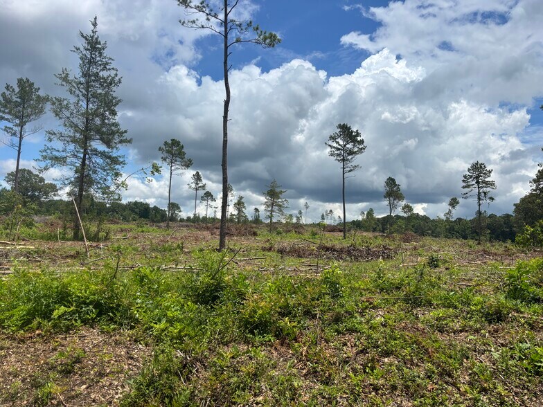 More Photos Of TBD CR 3665 Queen City Texas 20 Acres, Queen City Land For Sale