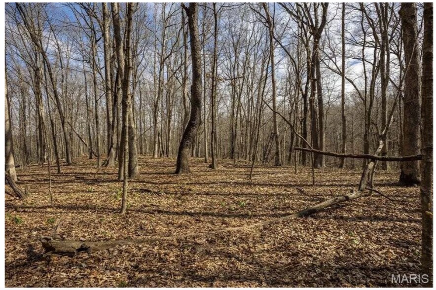 More Photos Of 6959 W Fellin Drive, Mount, Mount Olive Land For Sale