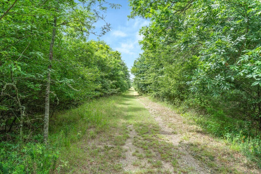 More Photos Of 1745 FM 2737, Lone Oak Land For Sale