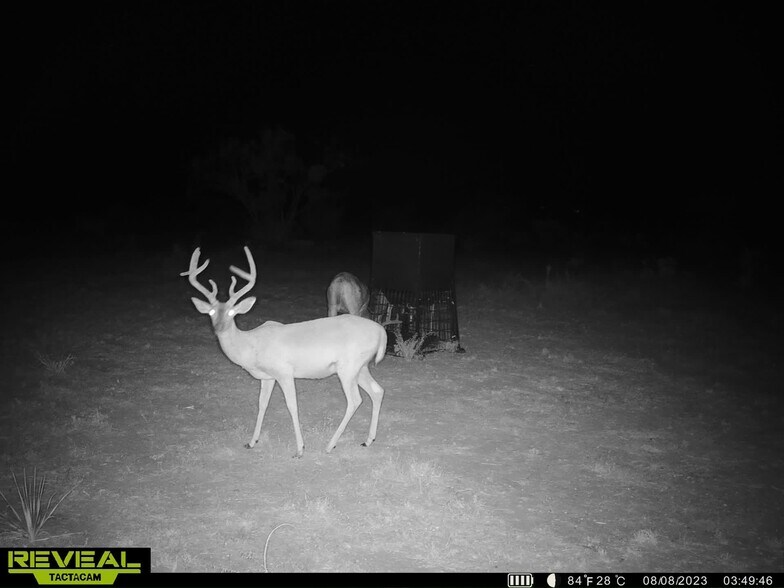 More Photos Of 4335 US-190, Rochelle Land For Sale