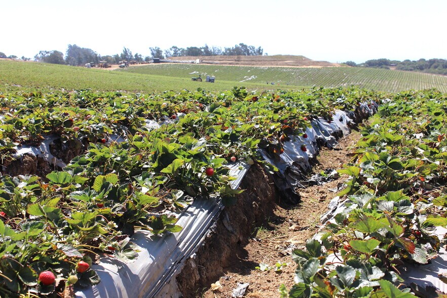 More Photos Of 16475 Blackie Rd, Salinas Land For Sale