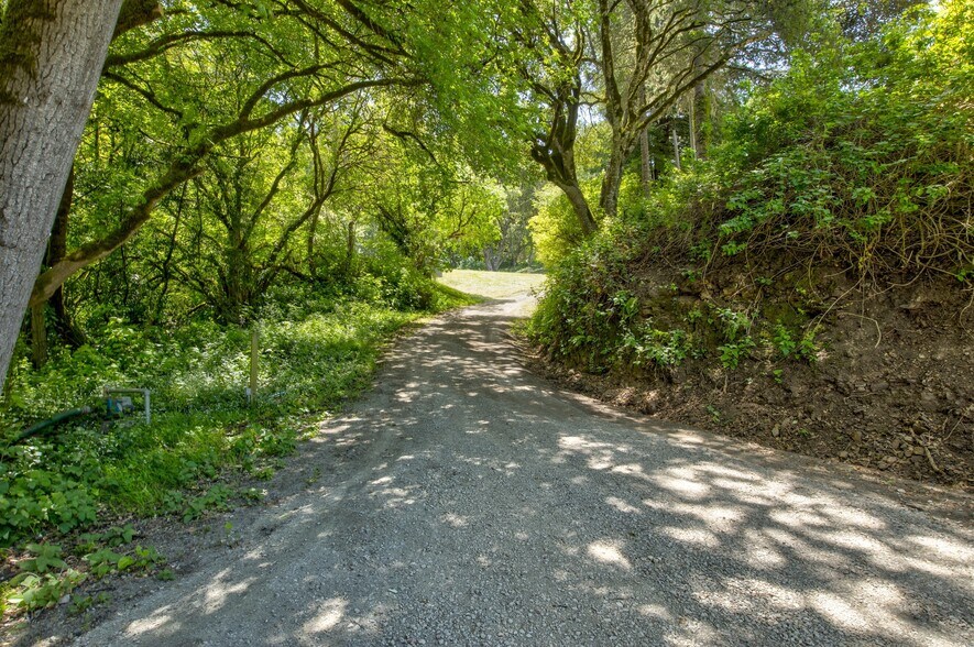 More Photos Of 5090 La Honda Rd, San Gregorio Land For Sale