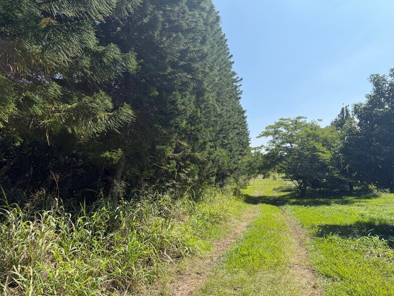 More Photos Of Mamalahoa Hwy, Pahala Land For Sale