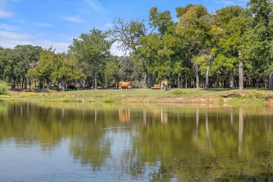More Photos Of 11230 Light Rd, Lipan Land For Sale