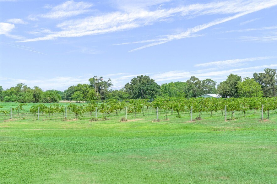 More Photos Of 5518 State Highway 198, Canton Winery Vineyard For Sale