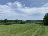 More Photos Of Browns Crossroads Rd, Staley Land For Sale