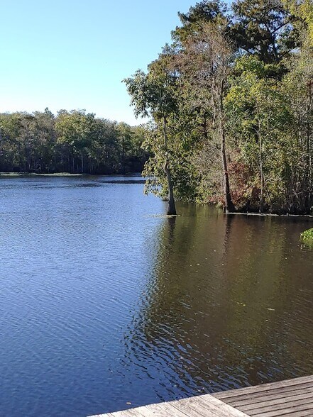 More Photos Of 20401 Perrin Ferry Rd, Springfield Sports And Entertainment For Sale