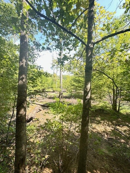 More Photos Of 920 Riser Rd, Ruston Flex For Sale