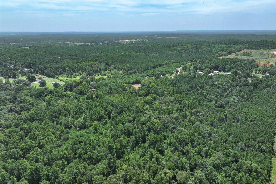 More Photos Of Tract 3 County Road 4102, Jacksonville Land For Sale