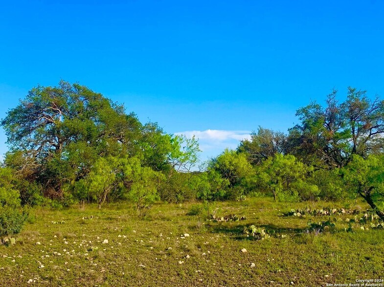 More Photos Of 4703 Scenic Lake Dr, Schertz Land For Sale