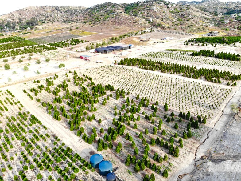 More Photos Of , Nuevo Land For Sale