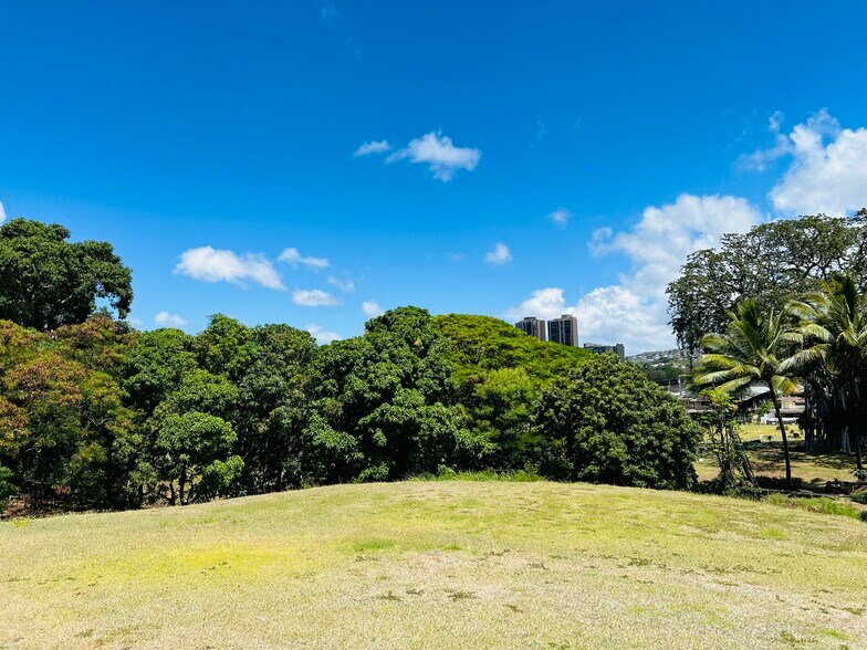 More Photos Of 322 Auwaiolimu St, Honolulu Land For Sale