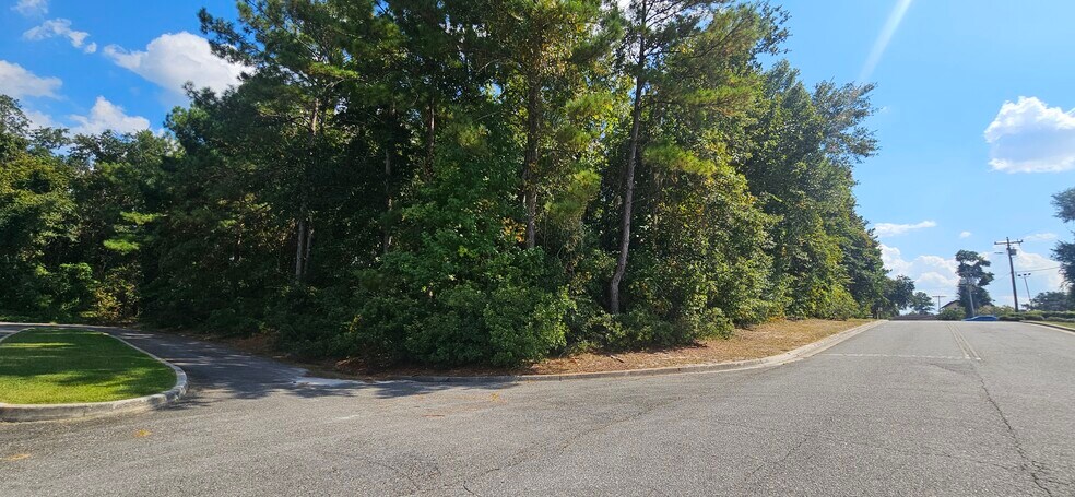 More Photos Of TBD SW Newland Way, Lake City Land For Sale