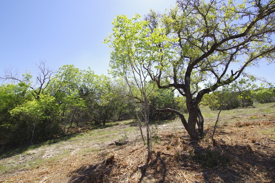 More Photos Of 22007 Nameless Rd, Leander Land For Sale
