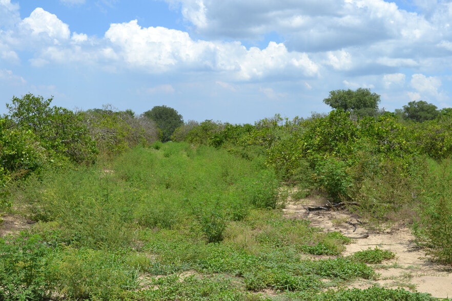 Tower Road Grove and Home Site, Babson Park, FL 33827 Land