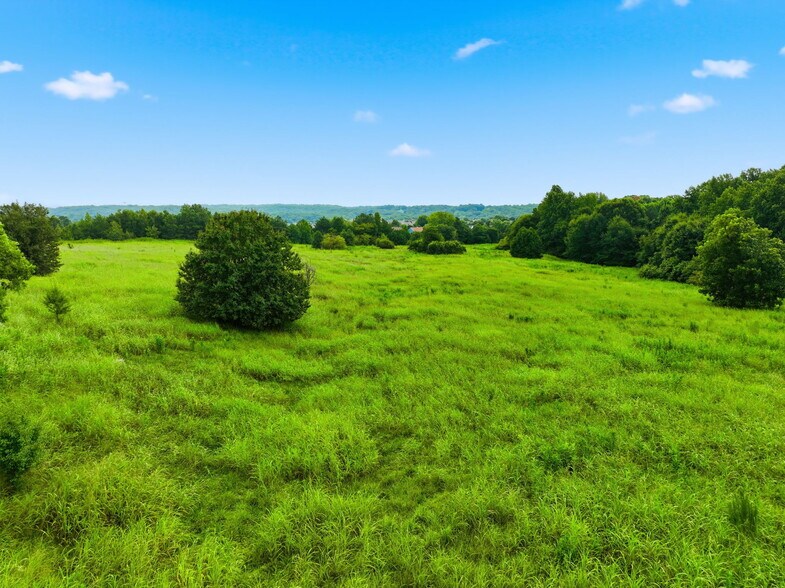 More Photos Of Thompson Mill Rd, Braselton Land For Sale