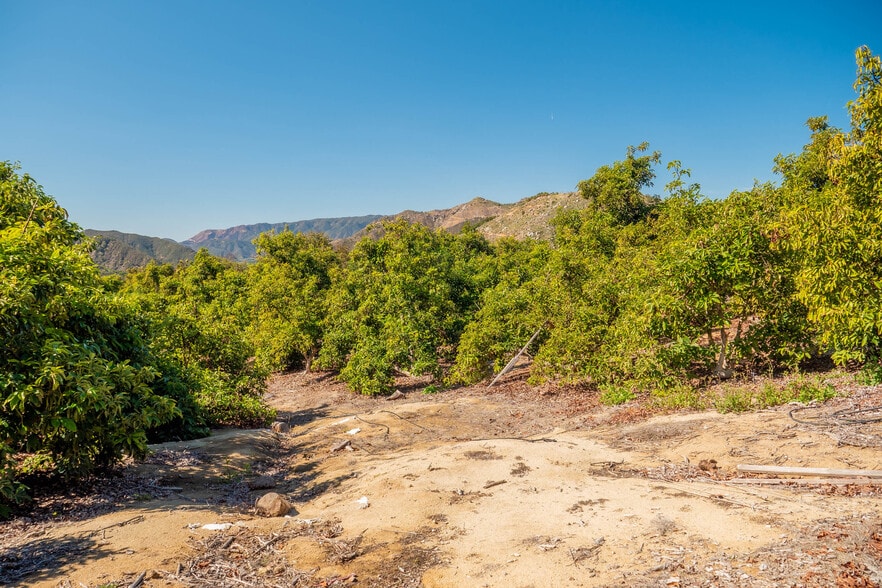 More Photos Of 15-16 Camaron Rd, Temecula Land For Sale