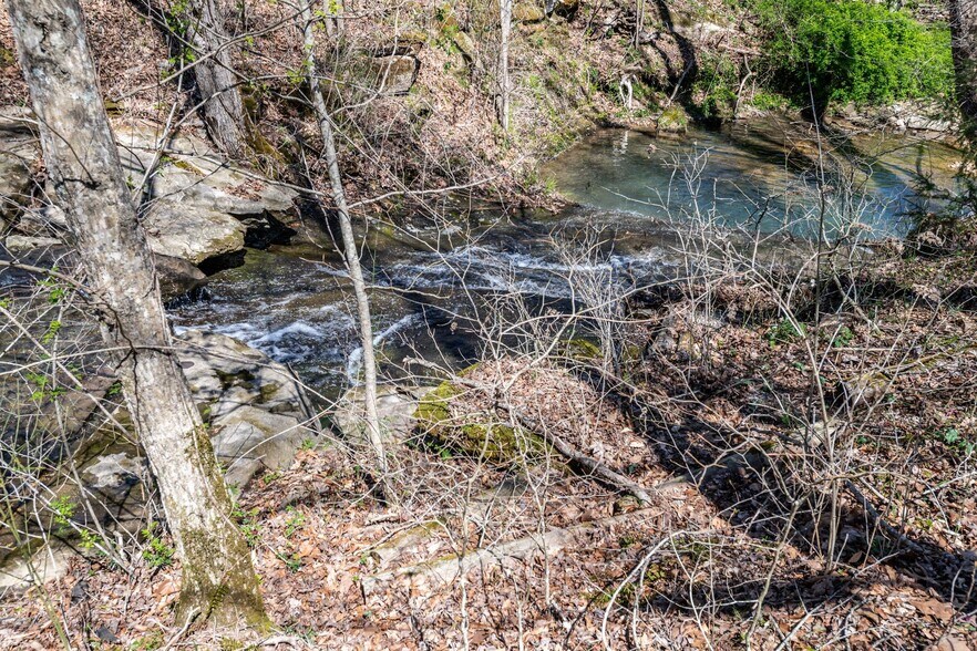 More Photos Of 3170 Phillips Chapel Rd, Waynesboro Land For Sale