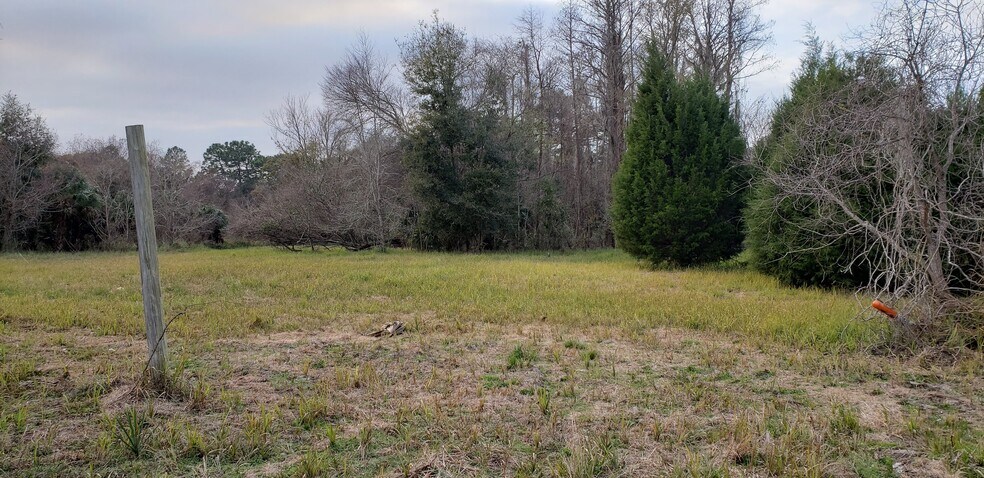More Photos Of 6480 S Suncoast Blvd, Homosassa Land For Sale