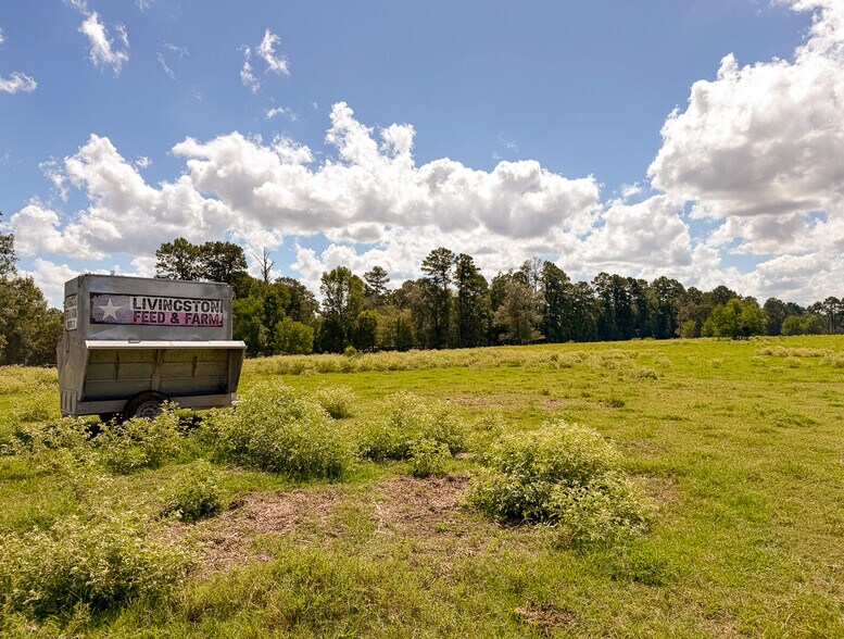More Photos Of 567 Tamie Lowe rd, Moscow Land For Sale