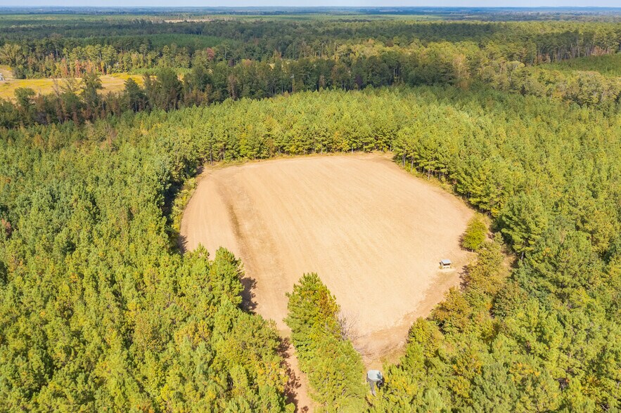 More Photos Of 18618 Hwy 43, Linden Land For Sale