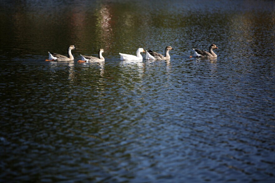 More Photos Of 404 W Main St, Payson Rehabilitation Center For Sale