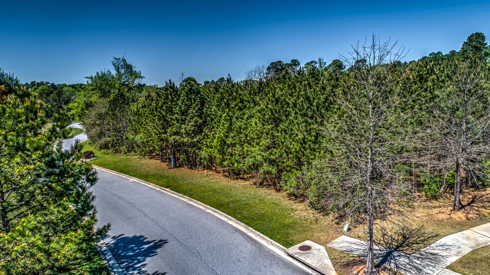 More Photos Of 422 Town Park Blvd, Evans Land For Sale
