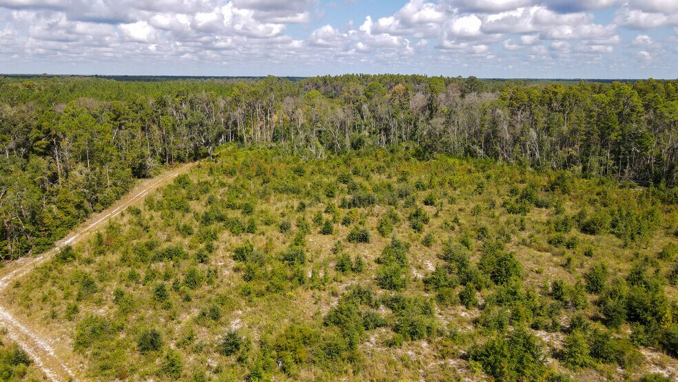 More Photos Of TBD NE 36th Drive Dr, Jasper Land For Sale