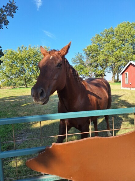 More Photos Of 505 Meridian Rd, Miltonvale Hospitality For Sale