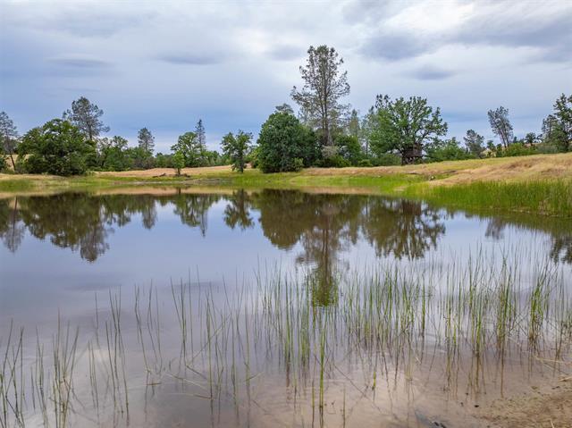 More Photos Of 14015 Hwy 36 W, Cottonwood Land For Sale