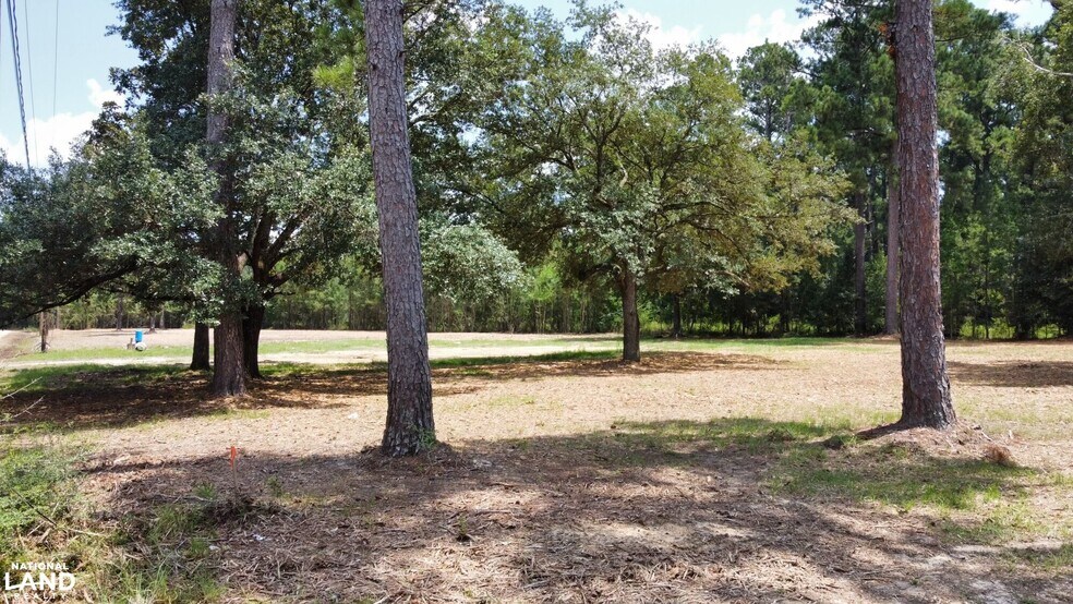 More Photos Of 27660 S Frost Rd, Livingston Land For Sale