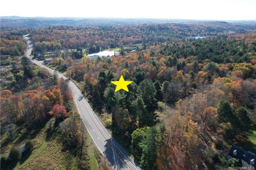 Primary Photo Of 1195 State Route 17B, Bethel Land For Sale