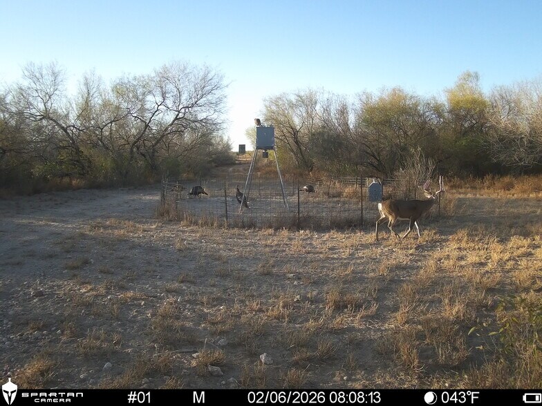More Photos Of Las Brisas Road, Rio Grande City Land For Sale